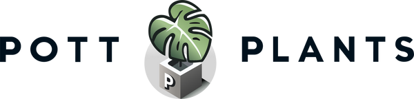 Pott Plants