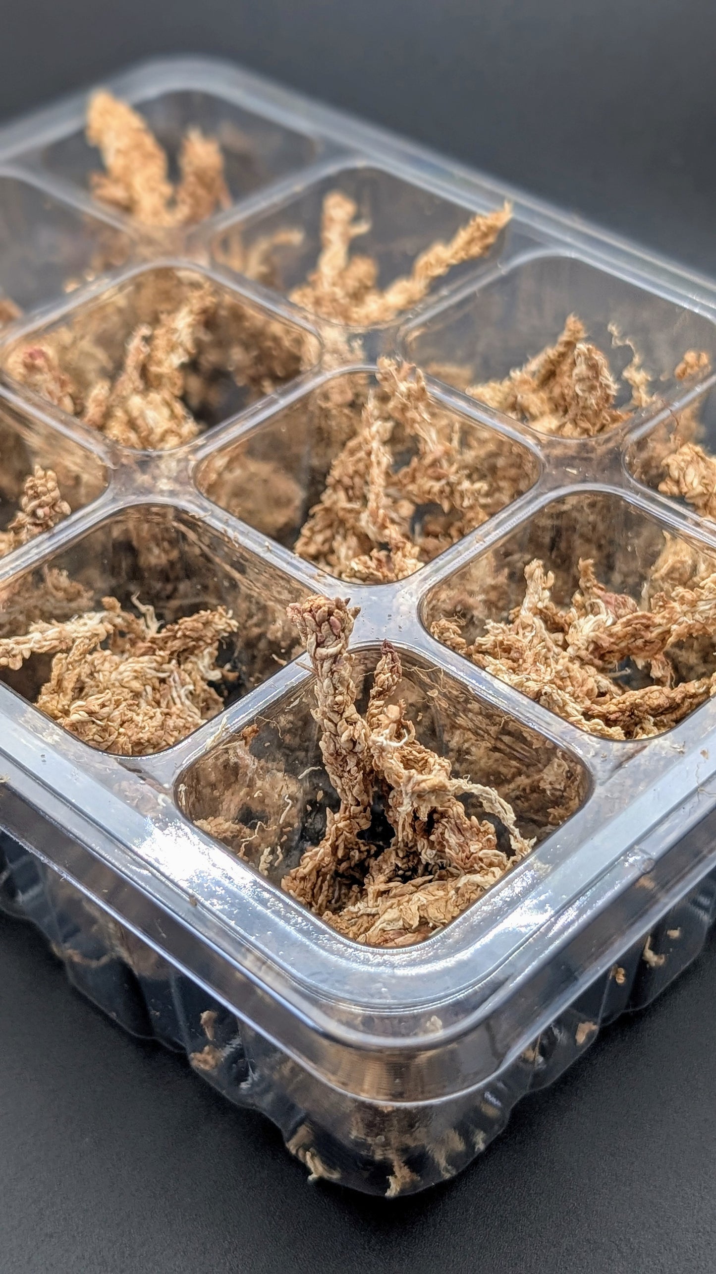 Tissue Culture Starter-Set