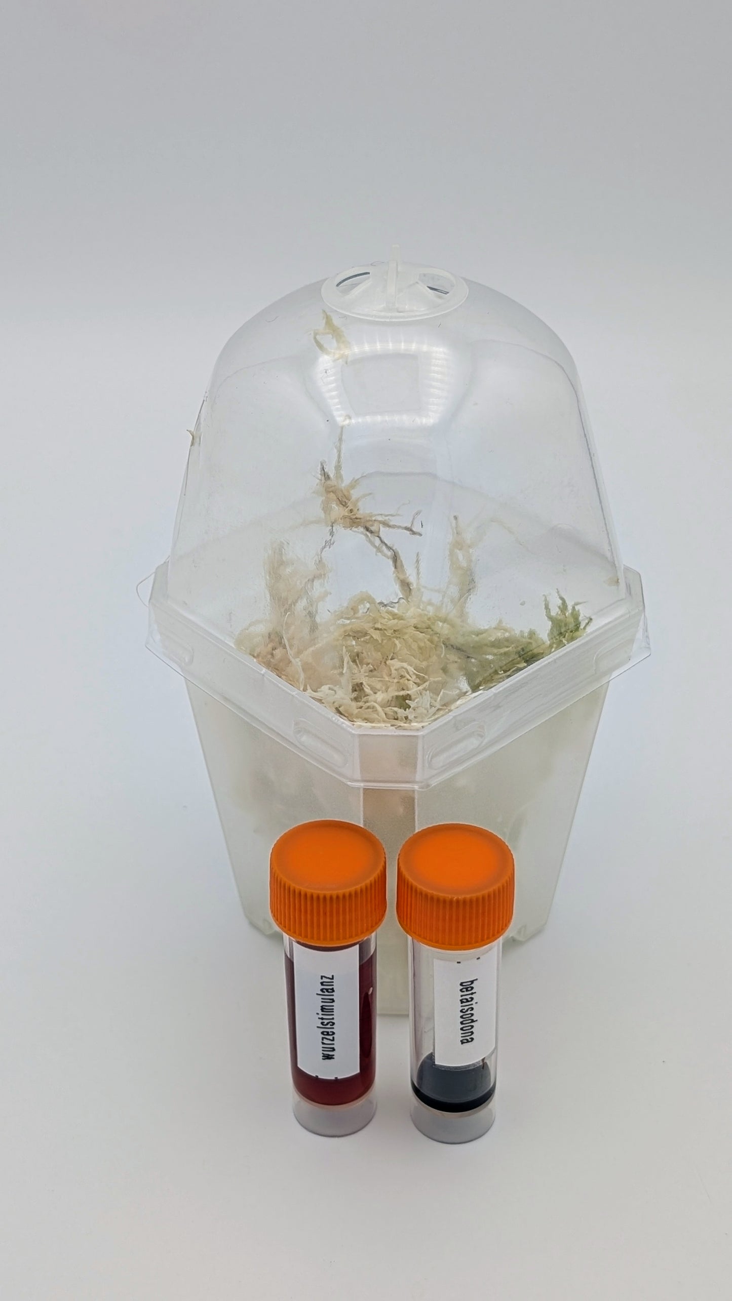 Tissue Culture Starter-Set Single