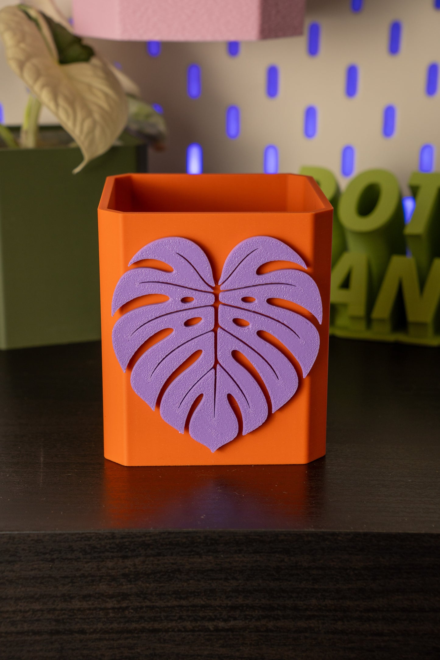 Monstera Leaf Pott