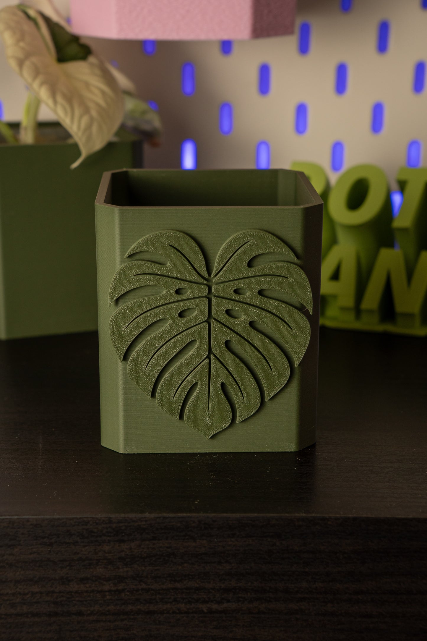 Monstera Leaf Pott