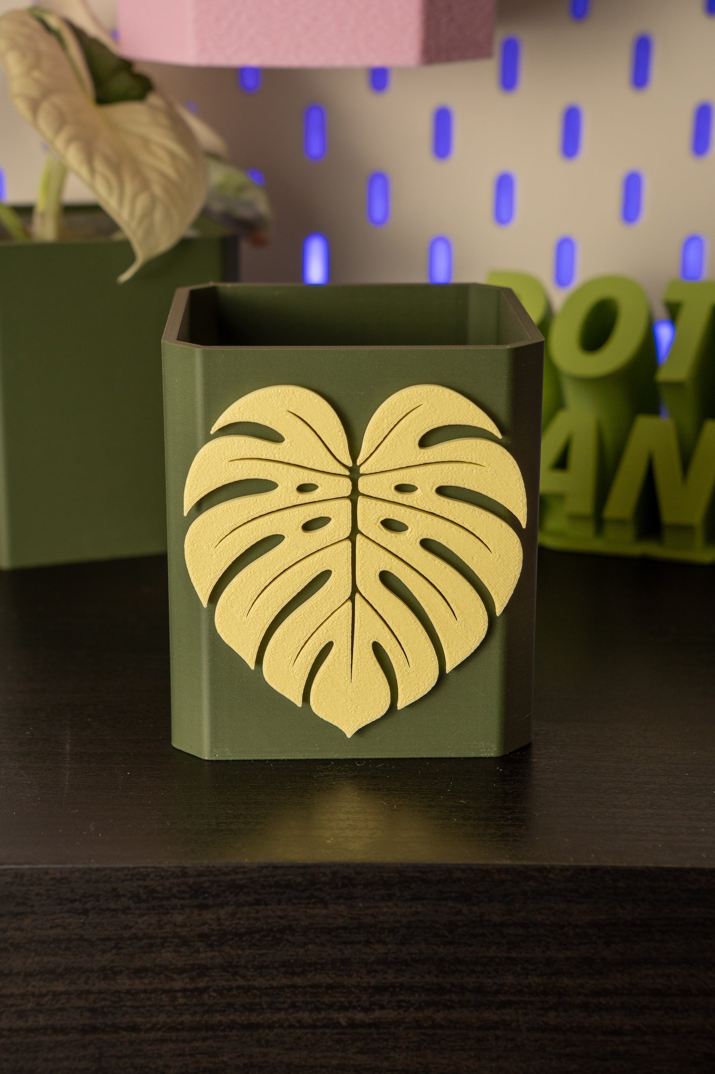 Monstera Leaf Pott