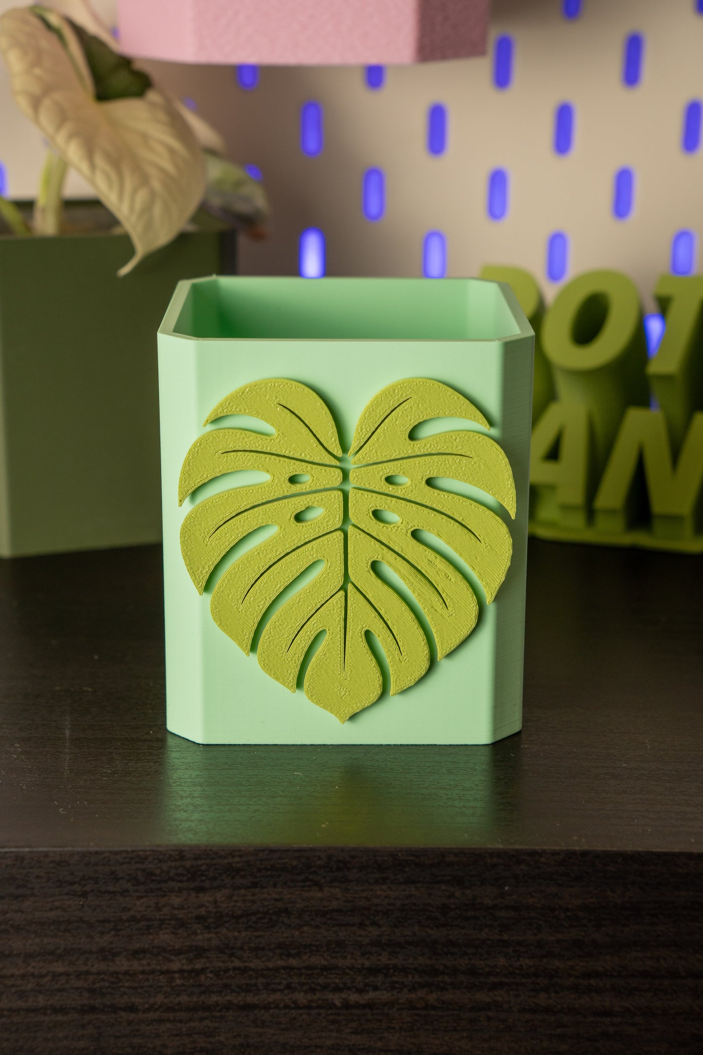 Monstera Leaf Pott
