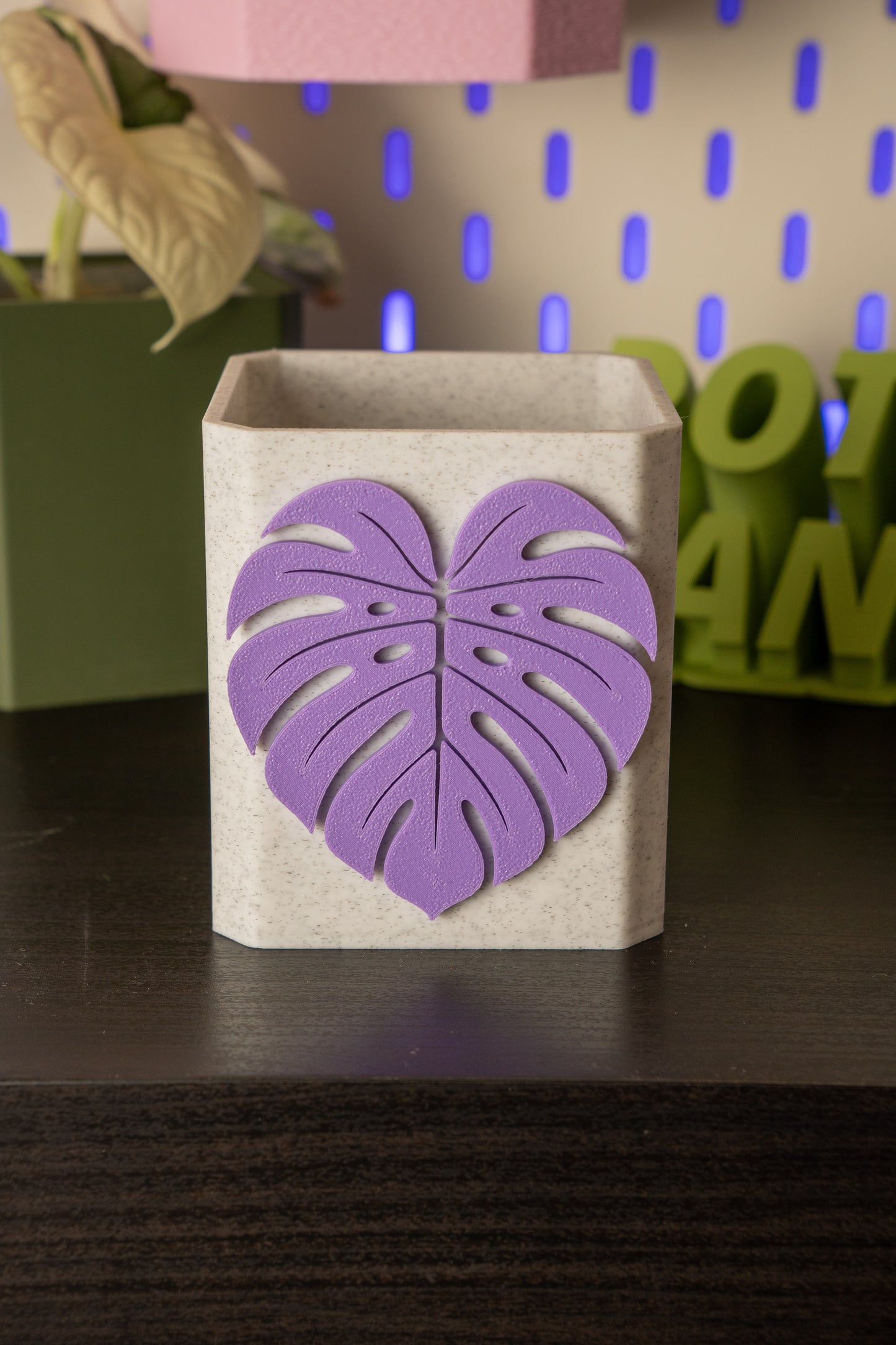 Monstera Leaf Pott
