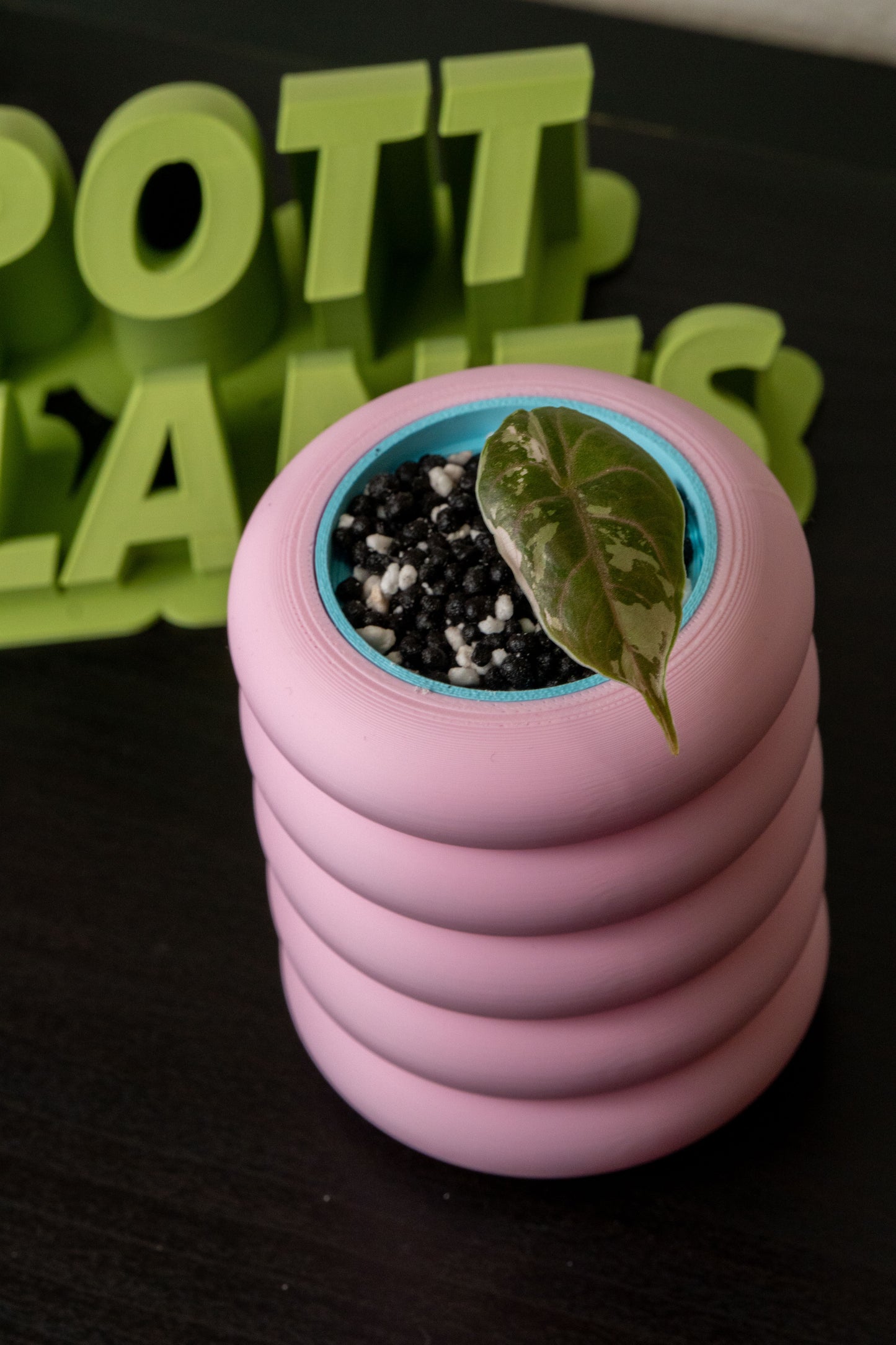 Mellow Pott | für Rhizo Pott