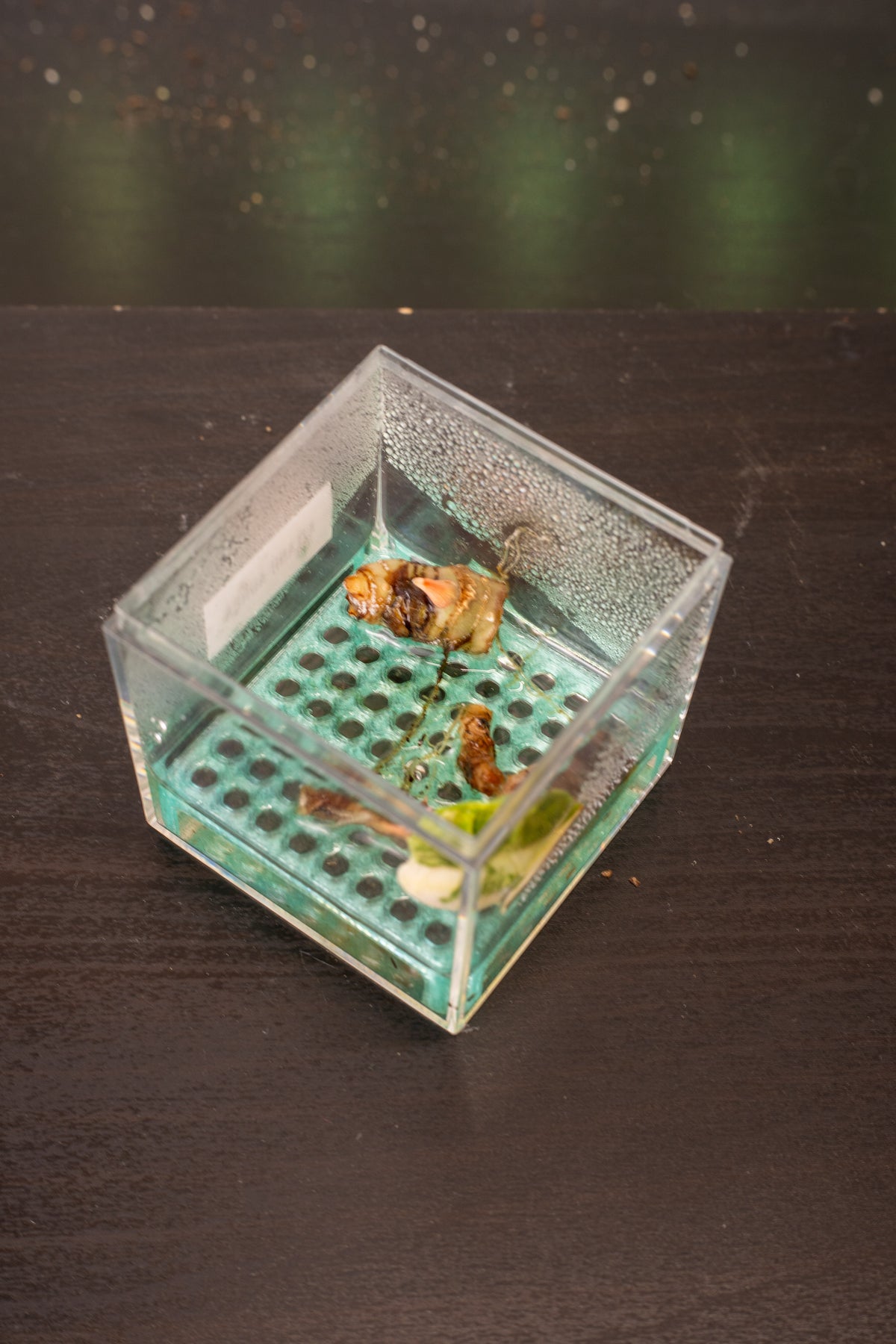 Rhizo Grid